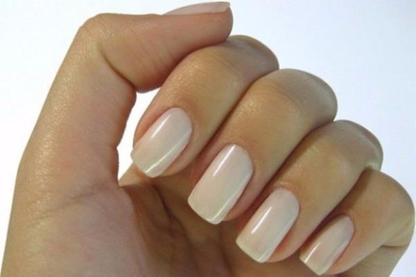 Bu tedavi, elinizdeki ilie iyi gelirken ayn zamanda enfeksiyon riskini de ortadan kaldracaktr. Bu tedaviyi birka gn boyunca yapn.