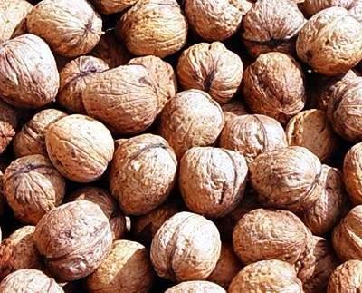 Cevizle dost olun. indeki ya beyin hcreleri iin ok yararldr. Kan ekerini drd iin eker hastalarna da uzmanlar tarafndan tavsiye edilir