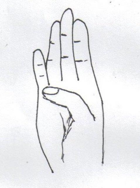 Vcudumuzda en kolay tlatabileceimiz eklem yerlerimiz parmaklarmzdr.