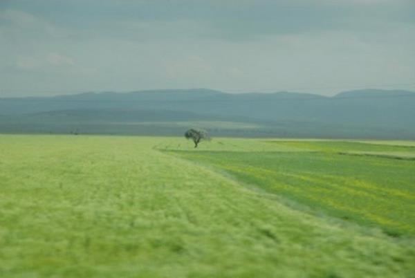 Ova nedir? Dmdz ve usuz bucaksz ahane yerlere ova denir. (Hakan-Ortaokul 2. Snf)