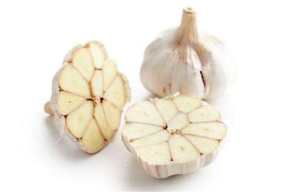 Her gn sarmsak yerseniz, baklk sisteminiz glenir. Souk algnlna yakalndysanz sarmsak ay iin. Doranm ya da kylm sarmsaklar birka dakika suda bekletin ve sonra szgeten geirip iin.