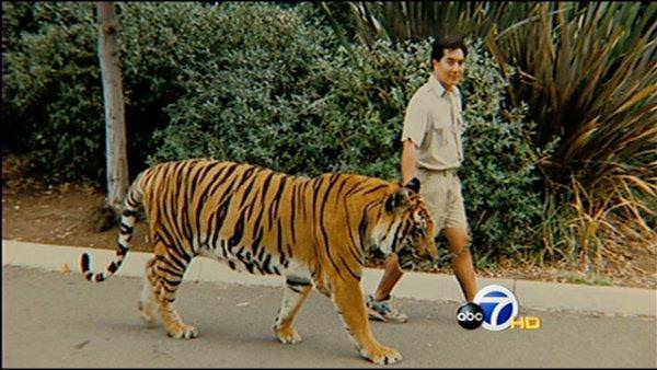 Dier kedigillere gre daha paylamcdrlar.