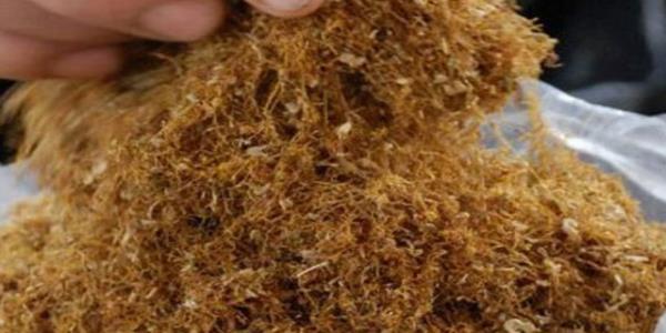 Nikotinin zararlar saymakla bitmez. Beyinle ilgili olanna gelince...