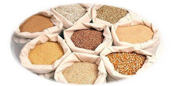 Tahllarn hepsi beyin fonksiyonlarna zarar verir.