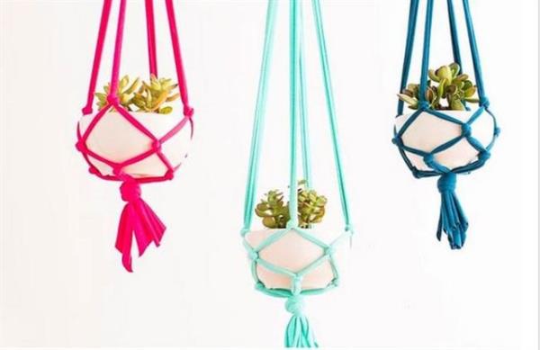 Evi botanik baheye evirmeye admlar kala.