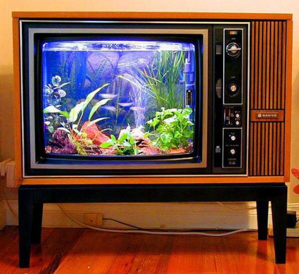 19. Eski tv'den akvaryum yapmak