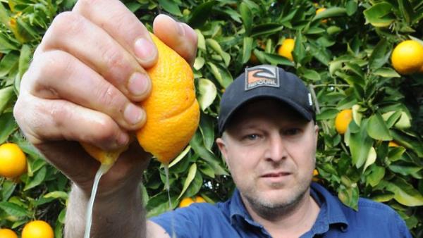 Avustralya&#8217;da 1 dolara 1 limon bile alamam.