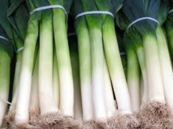 PIRASA : Bol miktarda C, K ve B vitaminleri ile potasyum, kalsiyum, silisyum, manganez, k�k�rt, bak�r, iyot ve demir i�eren p�rasa besin de�eri y�ksek bir g�dad�r.