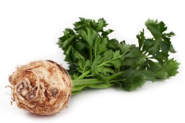 Ayr�ca diyet yapanlar�n da g�zdesi olan kerevizin 100 gr'm� sadece 16 kalori.