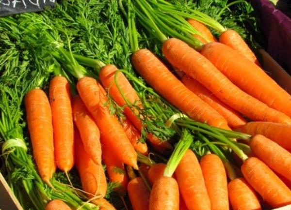 HAVU� : A, B1, B2 vitamini ve lif kayna��d�r. Enerji verir. Karaci�erin safra salg�lamas�na ve kolesterol� dengelemesine yard�m eder. Su i�eri�i y�ksek oldu�u i�in �eker hastalar� rahatl�kla t�ketebilir.