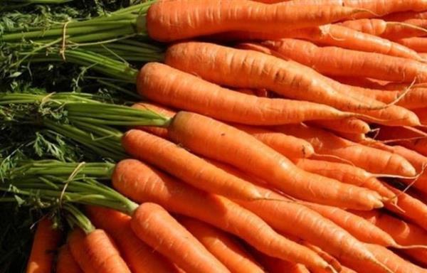 Ayr�ca mide ve ba��rsak rahats�zl�klar�na iyi gelir. Ancak pi�irildikten sonra i�indeki maddeler �ok k�sa bir s�rede toksik maddelere d�n��ebildi�i i�in hemen t�ketilmelidir.