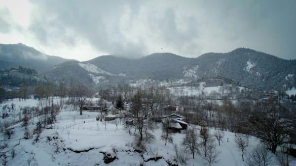 <p><b>ARTV�N</b></p>  <p>  </p>  <p>  1 MUHAMMED ALTUNAL �N�VERS�TE AVUKAT</p>  <p>  2 NED�M �ZER �LKOKUL ESNAF</p>