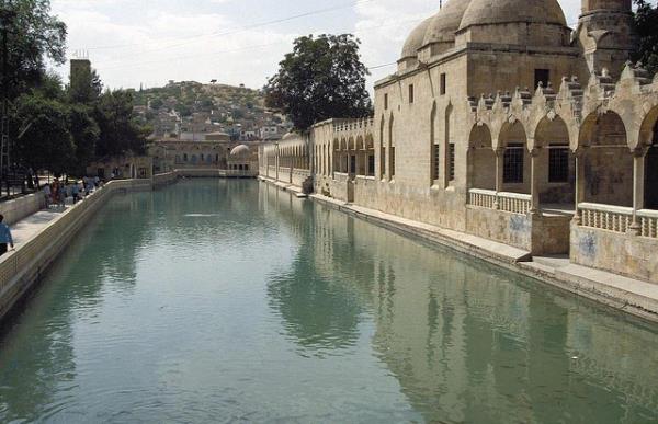 <p><b>�ANLIURFA</b></p>  <p>  </p>  <p>  1 �BRAH�M �ZYAVUZ L�SE EMEKL� BELED�YE BA�KANI</p>  <p>  2 MAHMUT �REN L�SE ����</p>  <p>  3 MEHMET EM�N D�NDARO�LU ORTAOKUL KAMU EMEKL�S�</p>  <p>  4 MUHAMMET EM�N MISIR �N�VERS�TE B�LG� ��LEM UZMANI</p>  <p>  5 �BRAH�M MEL �LKOKUL ESNAF</p>  <p>  6 YAL�IN YAL�INKAYA �N�VERS�TE ��ADAMI</p>  <p>  7 MERYEM BA�MANCI ORTAOKUL EV HANIMI</p>  <p>  8 FADIL �OBAN</p>  <p>  9 CAN HAL�L ��ZMEC�O�LU �N�VERS�TE S�GORTACI</p>  <p>  10 MEHMET CAN YILMAZ</p>  <p>  11 G�NG�R �DEM�� �ARKICI L�SE MUHASEBE M�D�R�</p>  <p>  12 AYDIN AKALIN L�SE SERBEST</p>