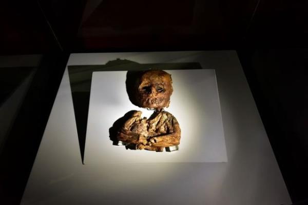 Mumyalar gerek yaadklar dnem, gerekse koruma yntemleriyle benzersizdir. Mumyalarn bir baka zellii ise Mslmanlara ait olmasdr.