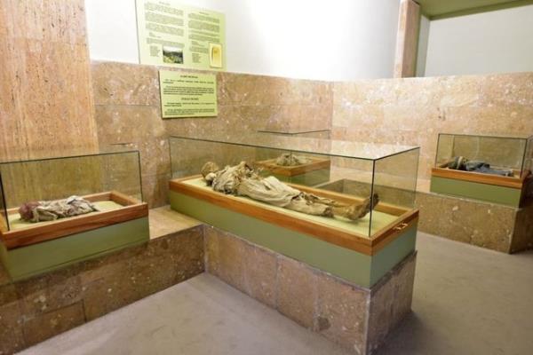 11 bin yllk tarih ve kltr birikimine ev sahiplii yapan Aksaray Mzesi'ndeki Mumyalar Salonu'nda 10 yetikin ve ocuk mumyas ile 2 kedi mumyas bulunuyor.