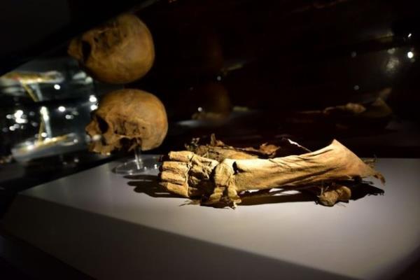 Mumyalarn Anadolu Nazr ehzade Cumudar, Amasya Emiri bua Noyin, Amasya'da hkmetmi olan zzettin Mehmet Pervane Bey, ei ve iki ocuuna ait olduu belirtiliyor.