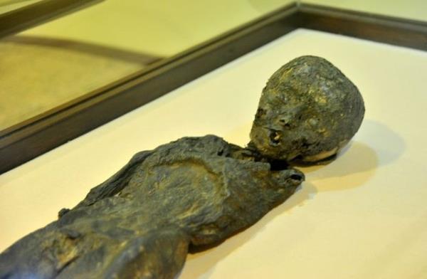 Kapadokya blgesi, dnyann drt bir tarafndan milyonlarca turisti kendisine ekerken, blgedeki mzelerde bulunan mumyalar ise peribacalar, yeralt ehirleri, vadiler ve balon turlarnn glgesinde kalyor.