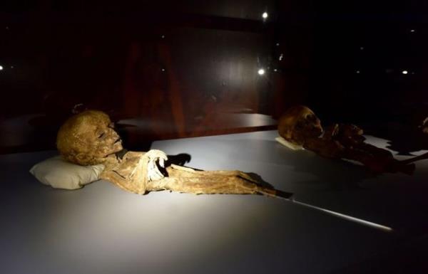 Dnyada i organlaryla birlikte mumyalanan tek rnekler, Amasya'daki lhanl soylulardr.