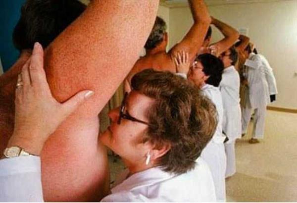 Bir eyi kokladnzda o eye ait molekller burun eperinize yapr