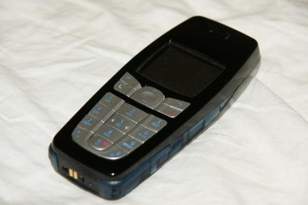 10- Nokia 6010 Satlan rn adeti: 75 milyon