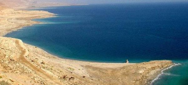 te bu olaanst tuzluluk nedeniyle sularnda baz bakteri tr dnda hibir canl yaayamaz. Bu nedenle Lut Glne &#8220;l deniz&#8221;de denilmektedir.