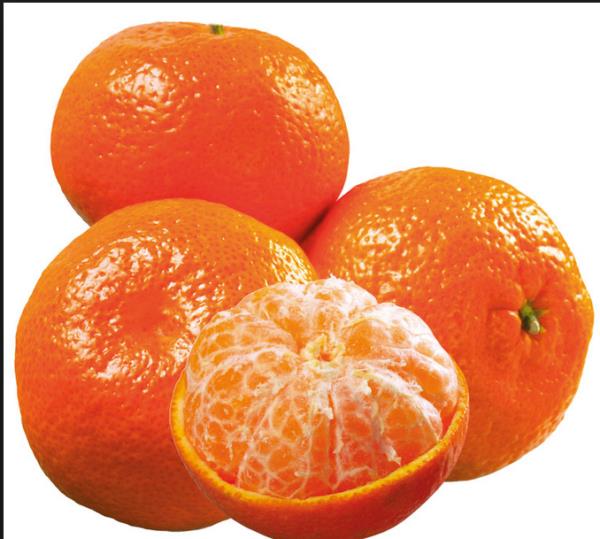 Bu karm yznze ve boynunuza srn. 10-20 dakika bekletin. Souk su ile durulayn.