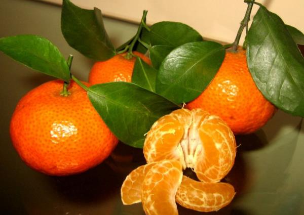 A vitamini Sa derisini nemlendirir. inde bulunan antioksidanlar sayesinde sanzn krlmasn nler.