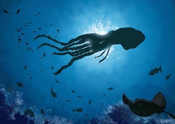 Vcudundan bulunan renk hcreleri sayesinde yaratt zel k efektleriyle avn ustaca hipnotize eder.