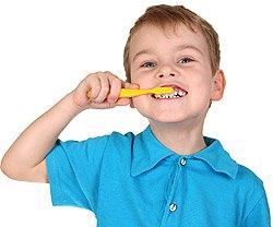 Ayrca di fralarnn kllarnn dier di fralaryla temasn nleyin. Yine de endie ediyorsanz, di franz az ykama suyunda bekletin. Aratrmalar, bu ekilde mikroplarn yok olduunu gsteriyor.