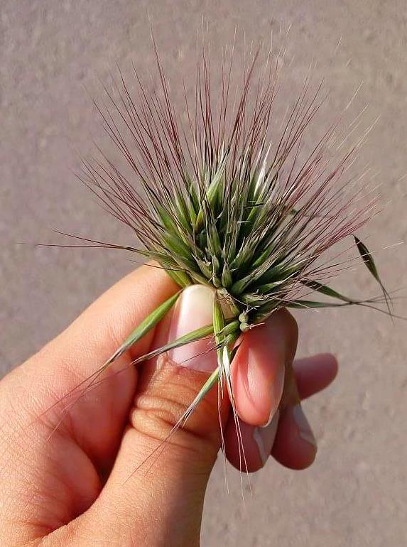 12. iekleri aadan yukar toplamak