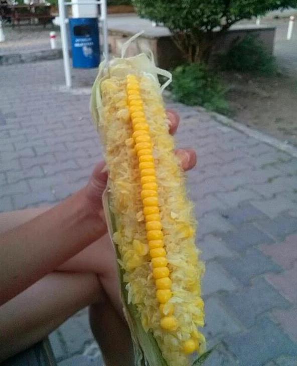 4. Yenen msr tek sra brakmak