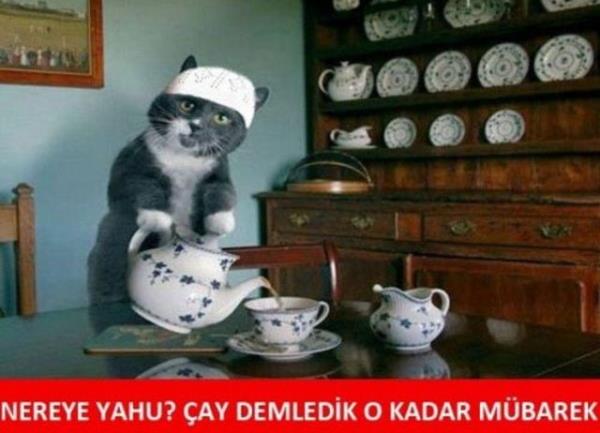 Mbarek<br>  Mbarek diye seslenilen kiilere bir zamanlar &#8220;Muhterem&#8221; denirdi. (listelist)