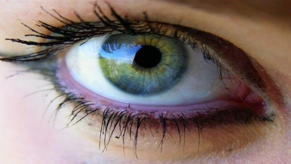 Balangta her hareketi 5 kez tekrarla.