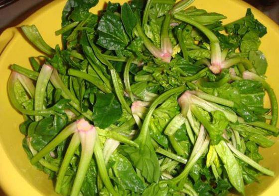 Gnde bir porsiyon spanak yiyerek erken bunamay engelleyebileceinizi biliyor muydunuz? Her gn spanak yemek beyninizin 11 ya daha ge yalanmasn salyor...