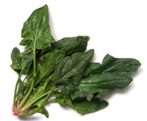 Vcudun dayanklln arttrr ve vcuda kuvvet verir. Yorgunluu giderir.