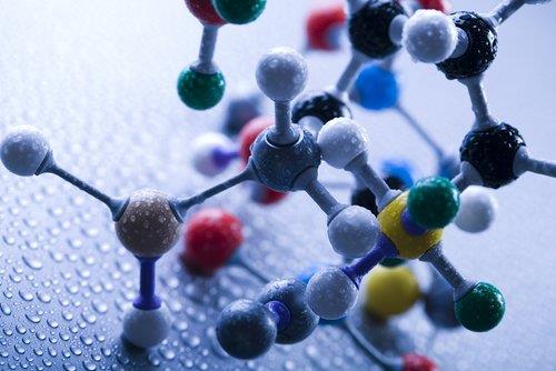 - nsann kromozom says 46, bezelyeninki 14 ve tatl su istakozu da denilen kerevitinki ise 200.