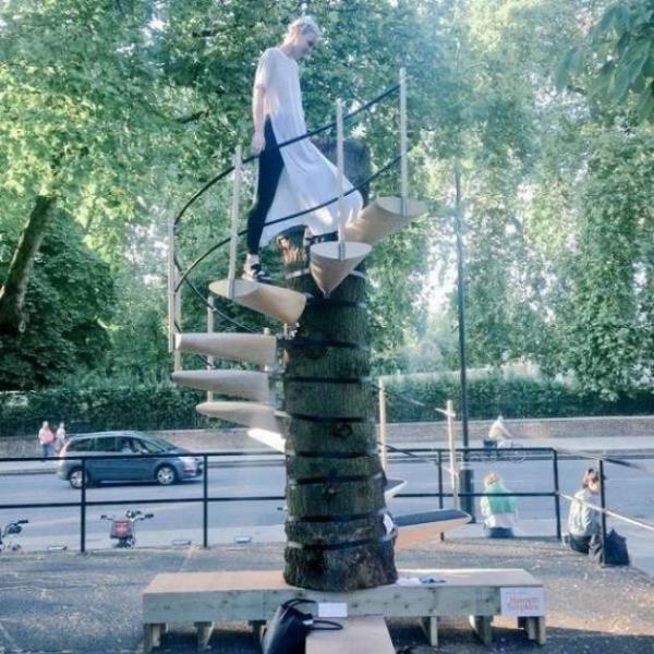 Aaca hi zarar vermeden monte edilebilen portatif merdiven ile ister elma toplayn ister erik :)