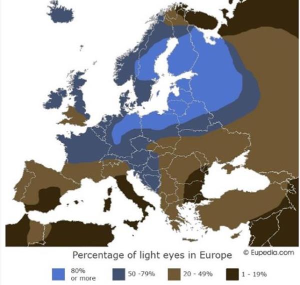 Haritada grlecei zere lkemiz daha ok ak kahverengi ve ela gzlerin etkin olduu alanlara sahip. Koyu kahverengi de gneydou ve kuzeybatmzda grlyor. Koyu kahvrengi rengin hakim olduu baskn liderlik zelliklerinin genelde diktatrler kartan corafyalarda etkin olduunu grebiliyoruz. Misal talya'da da yine koyu kahverengi gzler hakim Sezar gibi sert diktatrlerin doduu bir corafya. Melek mi eytan m olaca belirsiz olan mavi renkli gzlerin Almanya, Fransa ve kuzey lkelerinde grld aka belli ki Hitler, Napolyon gibi kimilerine gre eytan saylabilecek karakterlere ev sahiplii yapm bir corafya. Bu durum mavi gzl insanlarn daha zgr toplumlar oluturduu ynndeki tezi de destekliyor ki Kuzey Avrupa lkeleri bu konudaki farklarn net bir ekilde hissettiriyor.