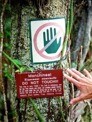 Eer yamur yaarken aaca yaklar ve aatan srayan bir yamur damlasna maruz kalrsanz, yine tehlike altndasnz demektir...