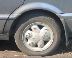 Srad bir alaml jant tasarm