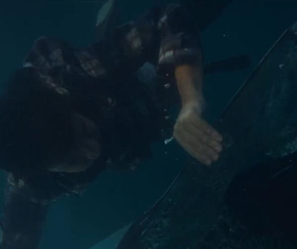 zleyici zpknn at delii grnce aknlk geirir.