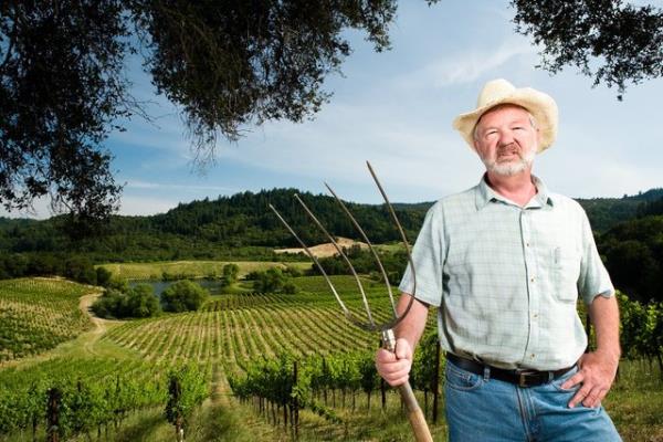 13- ifti  <br>2022 Ylnda D Oran: Yzde 19