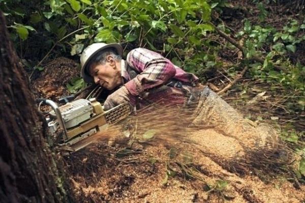 9- Aa Kesme isi<br>  2022 Ylnda D Oran: Yzde 9