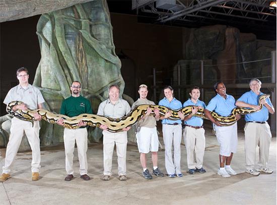 Dnyann en uzun ylnnn boyu ise 7.3 m