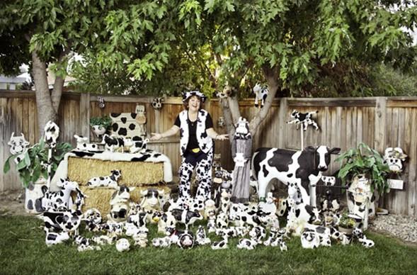 En byk inek koleksiyonu<br>    ABD'li Denise Tubangui'nin toplam 2 bin 429 adet ineklerle alakal eyas var. Tubangui'nin, 1990 ylnda annesinin mutfanda grd bir inek heykelciiyle toplamaya balad eyalar arasnda en sevdii, komularnn hediyesi olan gerek boyutlardaki inek heykeli