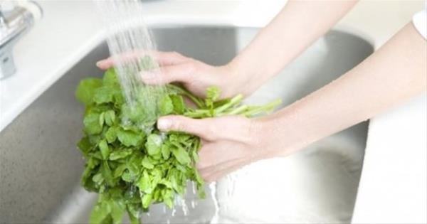 Gdalara bal salgnlar ve hastalklar sz konusu olunca, Koli Basili gibi bakteriler nedeniyle fatura en ok yeilliklere kesiliyor. Bu yzden, yeillikleri tketmeden nce mutlaka iyice ykamak gerekiyor.