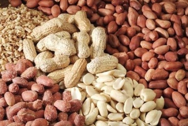 Yer Fst Besin alerjilerine bal lmlerin banda yer fsta alerjisi olanlardan kaynaklanyor.