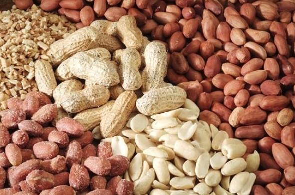 renme gibi beyin fonksiyonlar iin gerekli olan bir vitamindir.