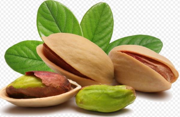 nce barsakta glikoz emilimini azaltr ve kan ekerinin ykselmesini nler.