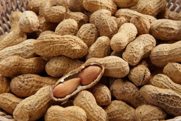 YER FISTIININ FAYDALARI/ inde bulunan B1 vitamini kan ekerinin yaklmas, kalp salnn korunmasna yardmc olur.